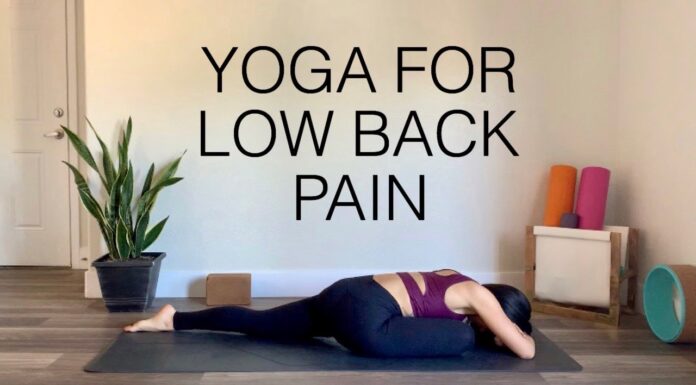 Yoga For Low Back Pain (All Levels) Slow Flow Stretch