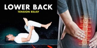Yoga for Lower Back Pain Relief at Home | Beginner-Friendly Stretch Routine #backpain