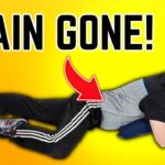 How To FIX Low Back Pain In 90 Seconds – (So Simple)