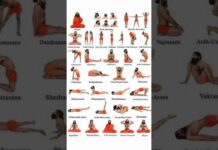 Types of 🧘♂️ yoga asana @vio9k #vio9k #shorts