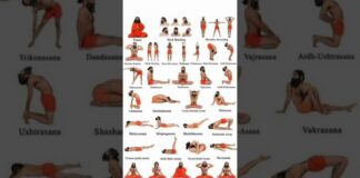 Types of 🧘♂️ yoga asana @vio9k #vio9k #shorts