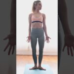 30 minute Yoga for Low Back Pain (All Levels) | Sarah Beth Yoga