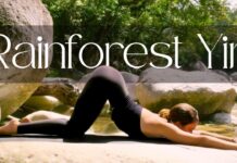30 Min Yin Yoga to Release Back Pain & Rebalance the Nervous System | Rainforest Edition 🌿