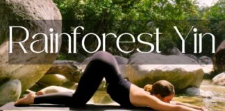 30 Min Yin Yoga to Release Back Pain & Rebalance the Nervous System | Rainforest Edition 🌿