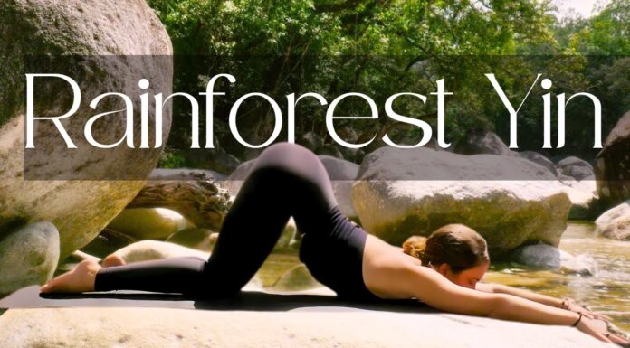 30 Min Yin Yoga to Release Back Pain & Rebalance the Nervous System | Rainforest Edition ๐ฟ