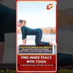 Yoga Poses To Calm Your Mind And Ease Anxiety