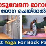 നടുവേദന മാറാൻ ഏറ്റവും നല്ല യോഗ ഇതാണ് | Best Yoga For Back Pain | naduvedana yoga | Dr. Akhila Vinod
