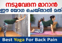 നടുവേദന മാറാൻ ഏറ്റവും നല്ല യോഗ ഇതാണ് | Best Yoga For Back Pain | naduvedana yoga | Dr. Akhila Vinod