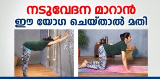 നടുവേദന മാറാൻ ഏറ്റവും നല്ല യോഗ ഇതാണ് | Best Yoga For Back Pain | naduvedana yoga | Dr. Akhila Vinod