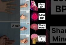 4 Mudra For 4 Problem #high #bp #low #sharp #mind #stress #anxiety #shorts #mudra #yoga #daily