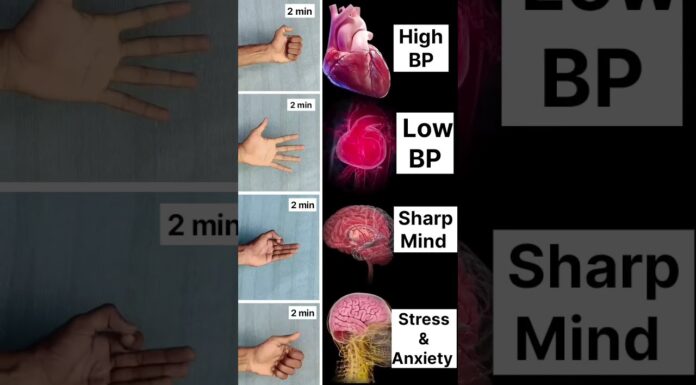 4 Mudra For 4 Problem #high #bp #low #sharp #mind #stress #anxiety #shorts #mudra #yoga #daily