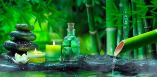 Relaxing Music to Relieve Stress, Anxiety and Depression 🌿 Heals The Mind, Body and Soul #22