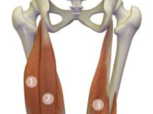 Yoga for Low Back Care (Part 2, Hamstrings)