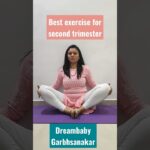 second trimester exercise#dreambabygarbhsanskar #pregnancy #exercise #pregnancytips