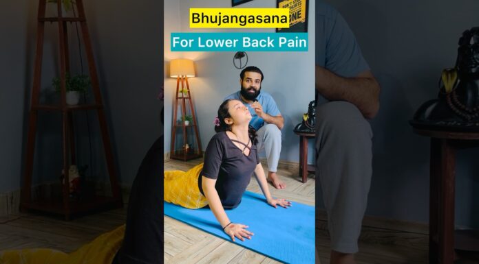 Lower Back Pain Yoga Exercises Anywhere #lowerbackpain #relief #youtubeshorts