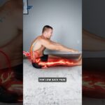 STOP Stretching Your Hamstrings?!