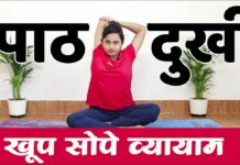 पाठदुखी साठी करा सोपे व्यायाम | Upper and Lower Back Pain Exercises in Marathi | पाठदुखी साठी उपाय
