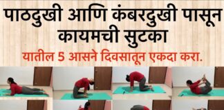 पाठदुखी आणि कंबरदुखी साठी योगासने | Yoga for Upper and Lower #Back Pain in Marathi | Vihas Yoga