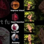 #yoga #improve #vision #heart #function #low #bp #stress #anxiety #viralvideo #ytshorts #motivation