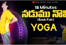 Lower Back Pain Relief | నడుము నొప్పి | 15 Min Yoga | తెలుగులో #backpain #teluguyoga