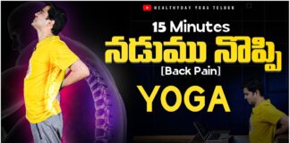 Lower Back Pain Relief | నడుము నొప్పి | 15 Min Yoga | తెలుగులో #backpain #teluguyoga