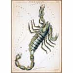 What the New Moon in Scorpio Means for You