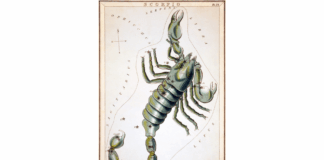 Everything You Need to Know About Scorpio (and Its Influence on Your Life)