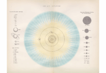Weekly Horoscope, October 26-November 1, 2025: Not Fearing Life