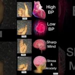 Hand Exercises yoga mudars #growenergy #digestin #fearless #yoga #yogamudra #yogawithankitvohra #yt