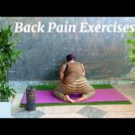 Back Pain Exercises | Back Pain Relief Exercises at Home | Meero Yoga