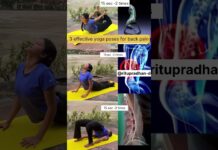 दर्द!""Sitting Job? ऐसे रखें अपनी पीठ को हेल्दी!" 3 effective yoga poses for back pain 🕉️🌺#shorts