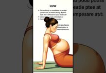 Cat–Cow Pose for Pregnant Moms | Cat–Cow Pose Relieves Back Pain for Pregnant Moms