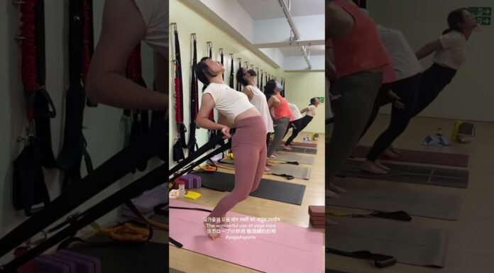 요가줄의 묘용 योग रस्सी का अद्भुत उपयोगThe wonderful use of yoga ropeヨガロープの妙用 瑜珈繩的妙用#yoga#sports