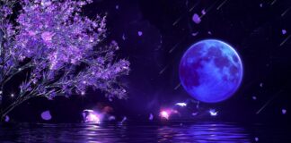 FALL INTO SLEEP INSTANTLY • Relaxing Music to Reduce Anxiety and Help You Sleep • Meditation