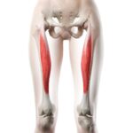 8 Quad Stretches to Relieve Tight Muscles