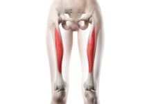 8 Quad Stretches to Relieve Tight Muscles