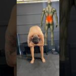 3 exercÃcios que podem acabar com sua dor lombar