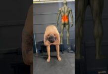 3 exercÃcios que podem acabar com sua dor lombar