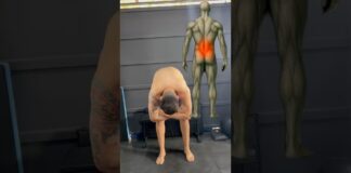 3 exercícios que podem acabar com sua dor lombar