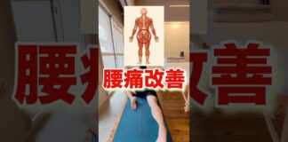 よる寝る前のストレッチ#腰痛#shorts #ストレッチ