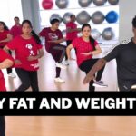 Belly Fat And Weight Loss Video | Zumba Fitness With Unique Beats | Vivek Sir