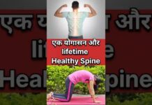Yoga for Healthy spine |Marjariasana | रीड की हड्डी को कैसे स्वस्थ रखें #shorts