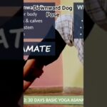 DownwardDog (AdhoMukhaSavasana)-Benefits&Cautions | Day 2 of 30 days Basic Yoga Asana Series #shorts