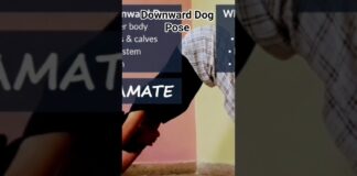 DownwardDog (AdhoMukhaSavasana)-Benefits&Cautions | Day 2 of 30 days Basic Yoga Asana Series #shorts