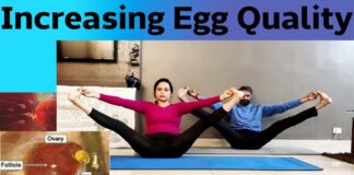 How to Improve Egg Quality in Women Naturally