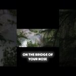 Alternate Nostril Breathing: Ancient Yoga Hack To Balance Anxiety Fast!