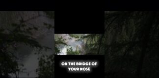 Alternate Nostril Breathing: Ancient Yoga Hack To Balance Anxiety Fast!