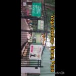 Glimpses of offline HABUILD yoga meetup Baner/Balewadi, Pune