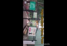 Glimpses of offline HABUILD yoga meetup Baner/Balewadi, Pune