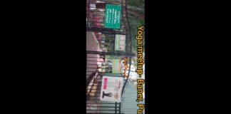 Glimpses of offline HABUILD yoga meetup Baner/Balewadi, Pune